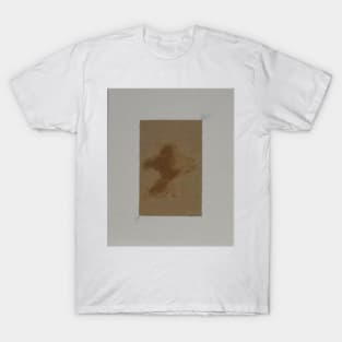 Meep Solo In Carbonite 5 T-Shirt